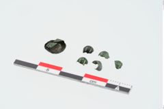 Foto von Bronzeknopf (NHMW-PRAE-024926)